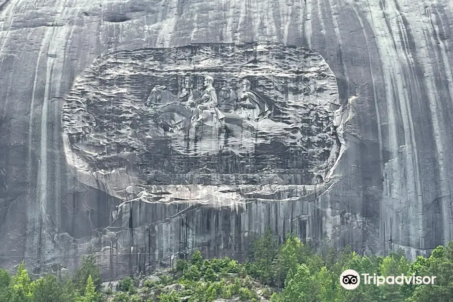 Stone Mountain Carving