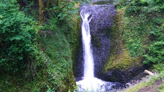 Horsetail Falls- Columbia River Gorge