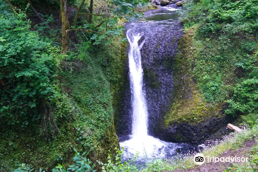 Horsetail Falls- Columbia River Gorge