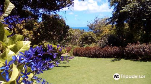 Andromeda Botanic Gardens