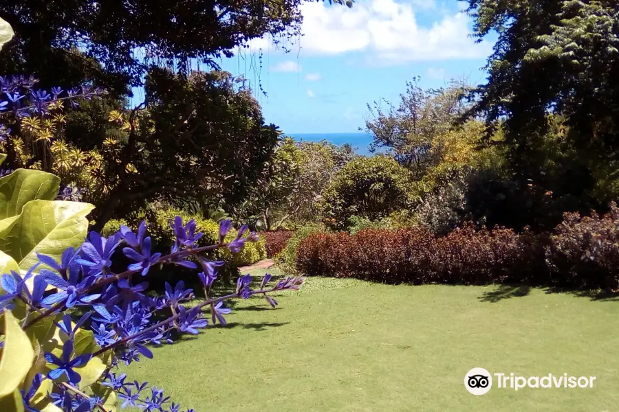 Andromeda Botanic Gardens