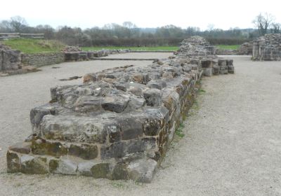 Forge Mill Needle Museum & Bordesley Abbey