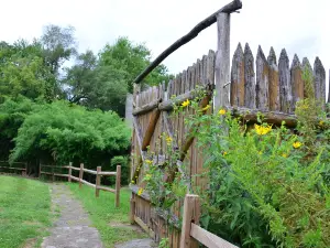 Old Fort Harrod State Park