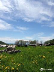 Merck Forest & Farmland Center