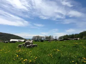 Merck Forest & Farmland Center