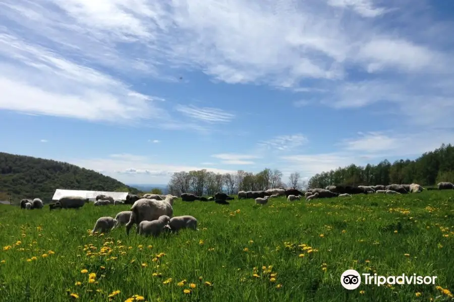 Merck Forest & Farmland Center