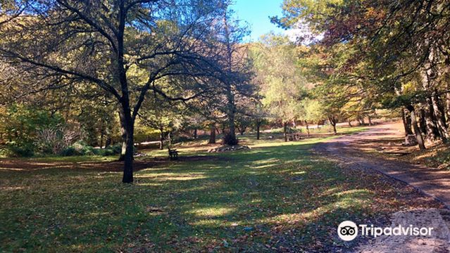Parque Nacional de Gargano (Parco Nazionale del Gargano)