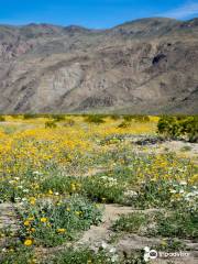 Parc d'État d'Anza-Borrego Desert