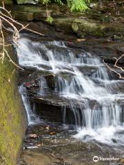 Pisgah Gorge Falls