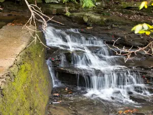 Pisgah Gorge Falls