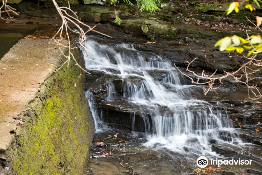 Pisgah Gorge Falls