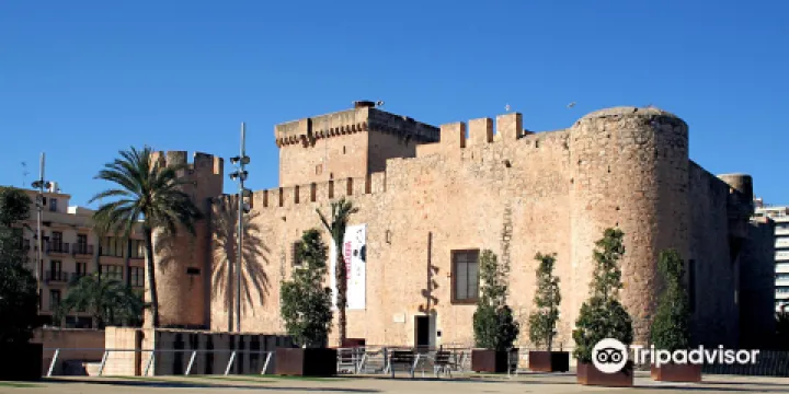 Museo Arqueologico e historico de Elche (MAHE)