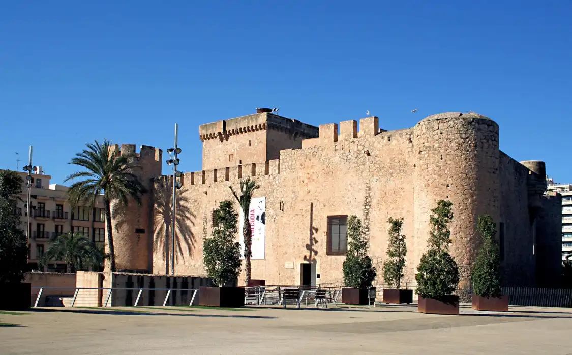 Hotels near Museo Arqueologico e historico de Elche (MAHE)