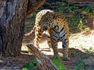 Santa Cruz Zoo