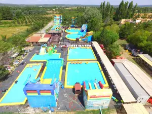 Kid's Paradise