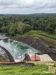 Salaulim Dam