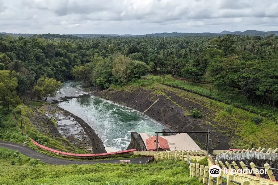 Salaulim Dam