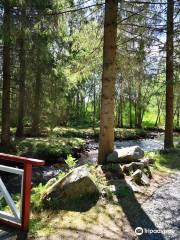 Alakestilän Arboretum