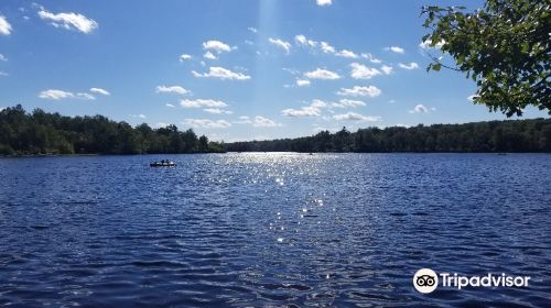 Tobyhanna State Park