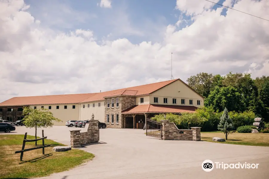 Holland Marsh Wineries