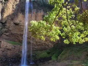 Saltão - Parque de Ecoturismo