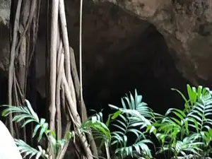 Deadman's Cay Caves