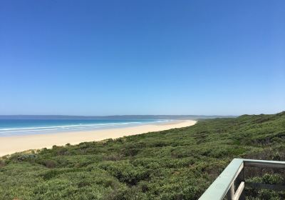 Ned Neale's Lookout