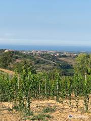 Riserva Naturale Regionale Bosco Don Venanzio