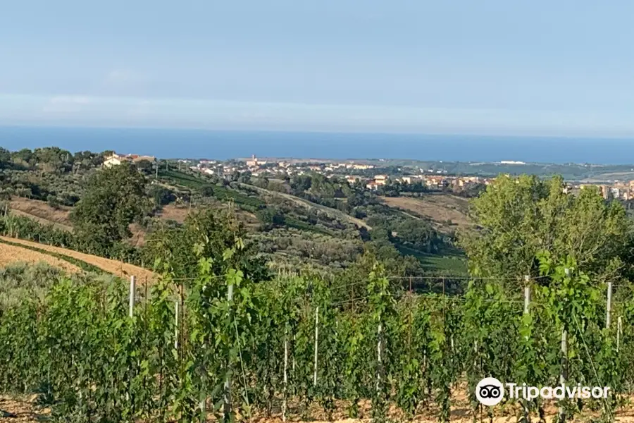 Riserva Naturale Regionale Bosco Don Venanzio