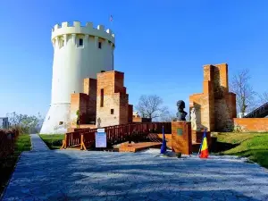 Ardud Medieval Fortress