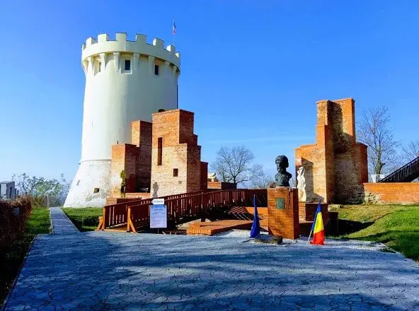 Viile Satu Mare