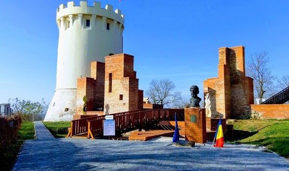 Viile Satu Mare
