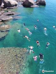 Loreto Coastal Expeditions Glass Bottom Boat