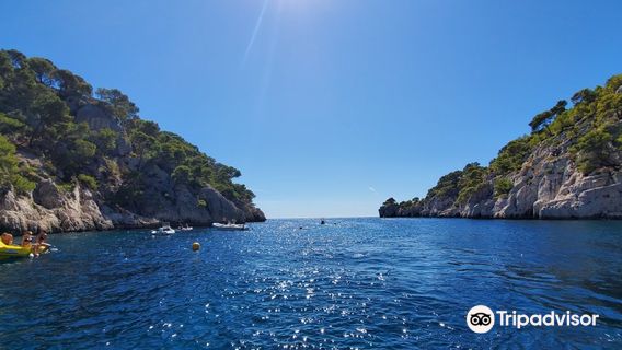 Cassis