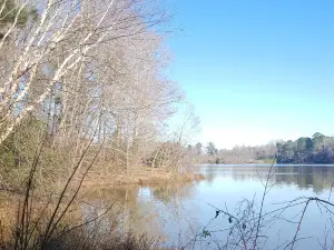 Bass Lake Park
