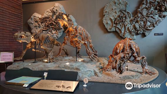 Saitama Prefectural Museum of Nature