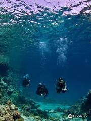 Dahab Divers Lodge - Padi 5* dive centre Dahab