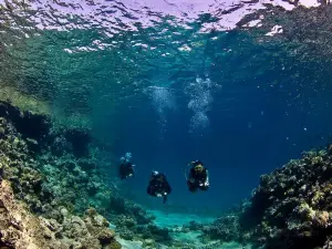 Dahab Divers Lodge - Padi 5* dive centre Dahab