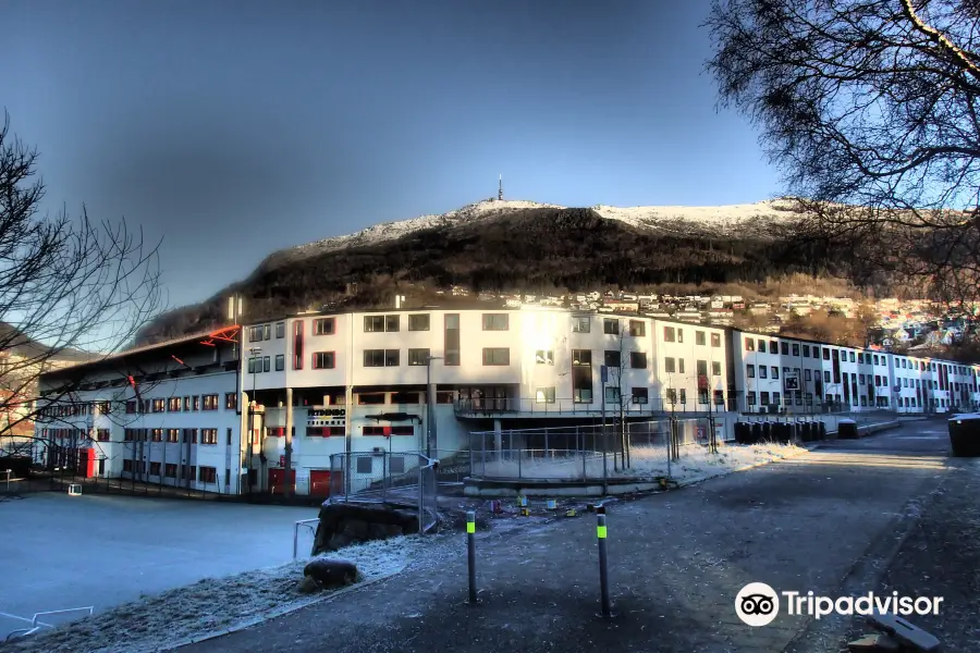 Brann Stadion