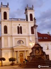 Cathédrale Saint-François-Xavier de Banská Bystrica