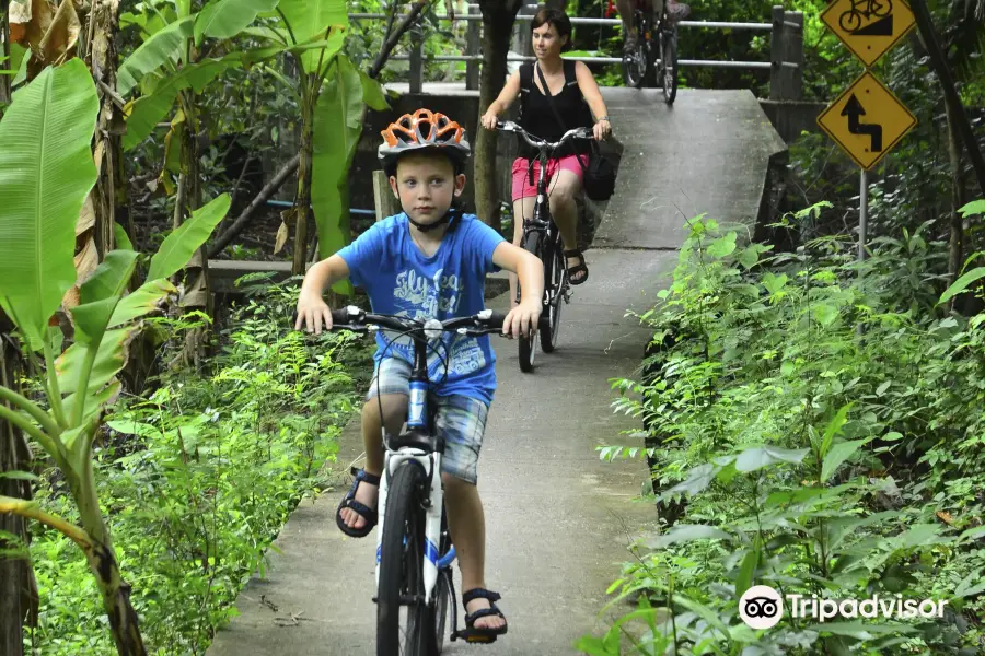 Thailand Biking