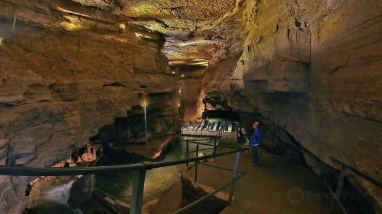 Bluespring Caverns Park