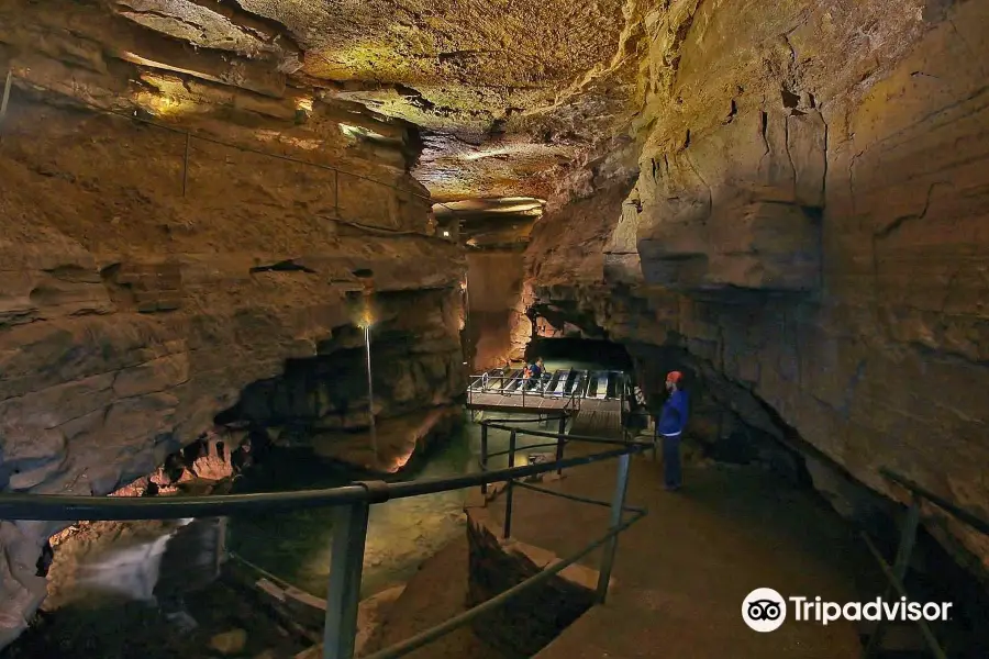 Bluespring Caverns Park