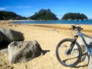 Kaiteriteri Mountain Bike Park