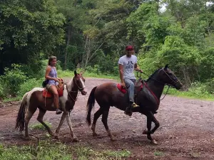 Black Stallion Eco Park & Estates