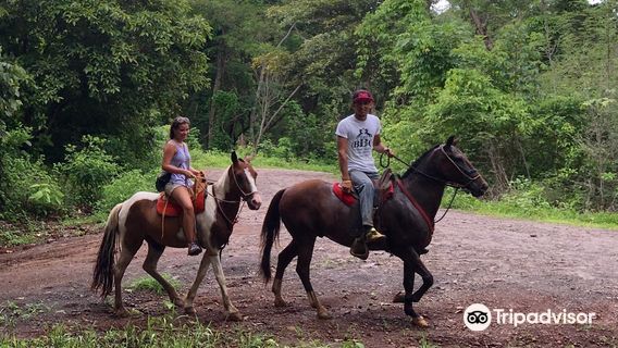 Black Stallion Eco Ranch
