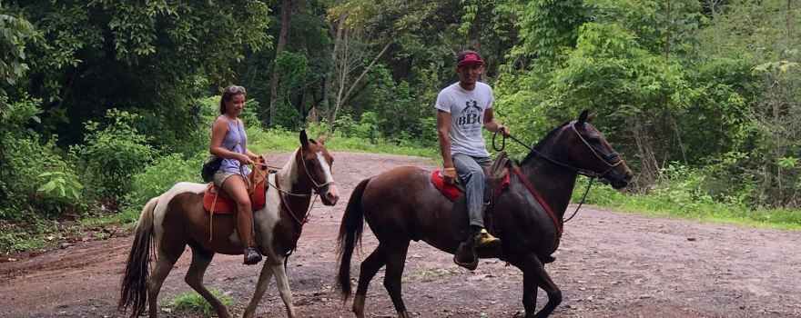 Black Stallion Eco Park & Estates
