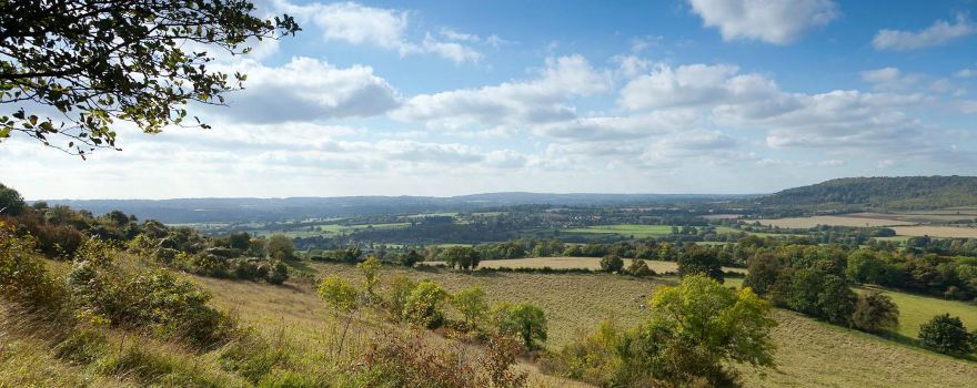 Kent Downs National Landscape
