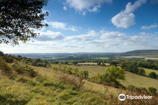 Kent Downs National Landscape