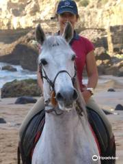 Palominas Atividades Equestres